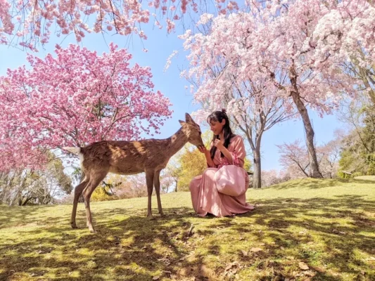 Tour - du - lịch - Nhật - Bản - Hà - Nội - Osaka - Kyoto - Phú - Sĩ - Tokyo - 6 - ngày - 5 - đêm 