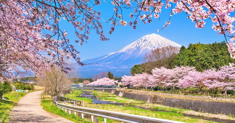 Tour - Nagoya - Nara - Osaka - Kyoto - Núi Phú Sĩ - Tokyo - 6 - ngày - 5 - đêm