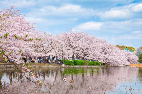 Tour - du - lịch - Nhật - Bản - Osaka – Kobe – Kyoto – Nagoya – Núi- Phú - Sĩ – Tokyo - 6 - ngày - 5 - đêm